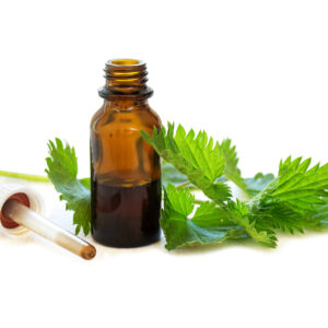 Nettle,Tincture,In,A,Small,Bottle,And,Fresh,Leaves,Isolated