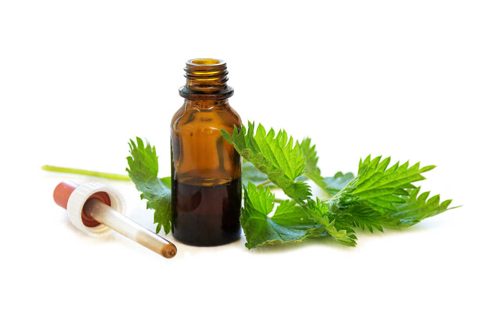 Nettle,Tincture,In,A,Small,Bottle,And,Fresh,Leaves,Isolated