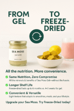 Freeze Dried Wildcrafted Sea Moss - Image 2